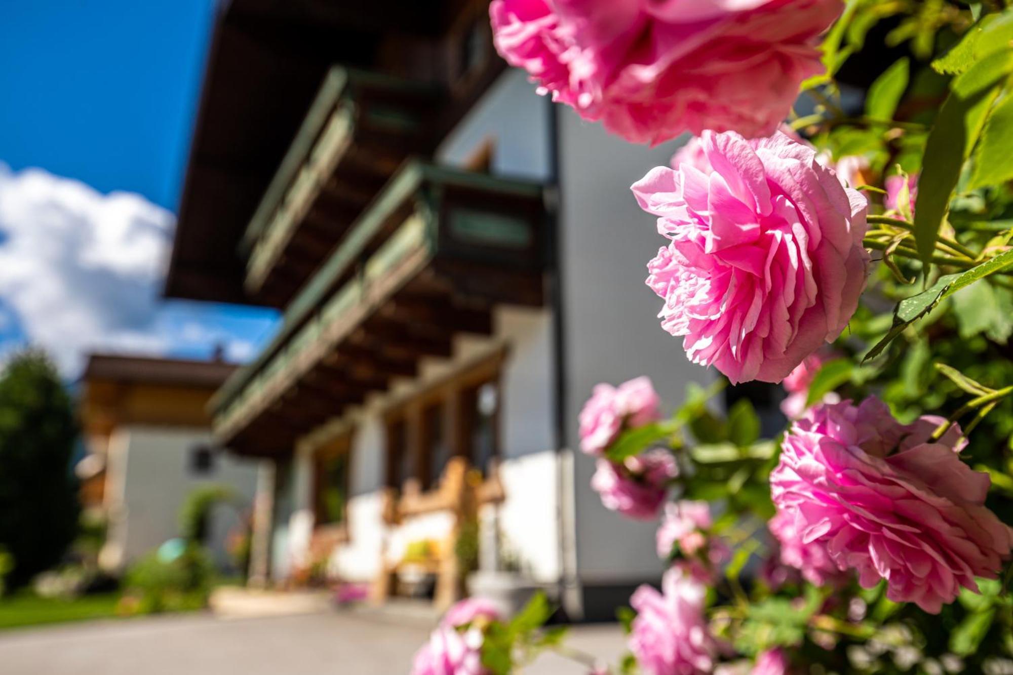 Im Gaestehaus Warter In Altenmarkt Apartmán Altenmarkt im Pongau
