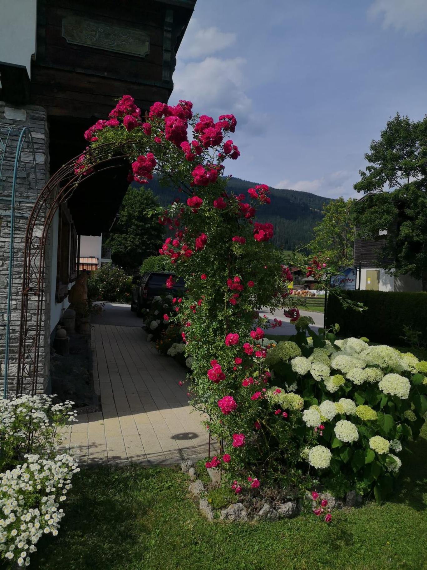Im Gaestehaus Warter In Altenmarkt Apartment